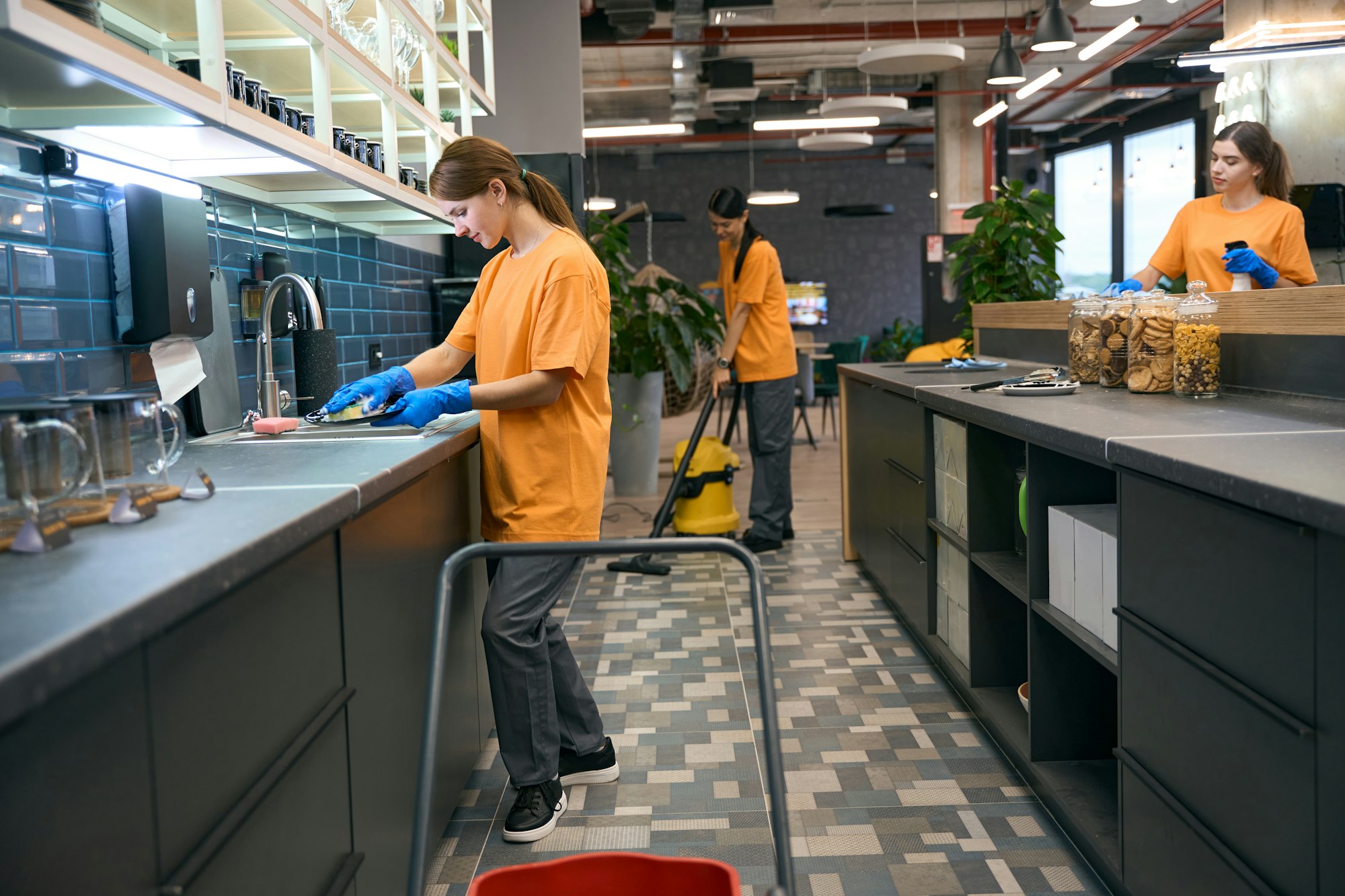 Team young women doing spring cleaning in kitchen area coworking space